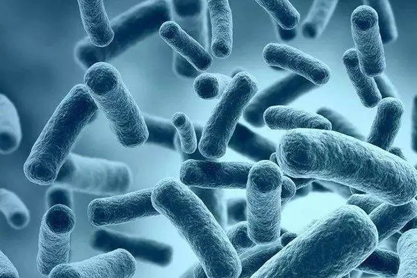 又一知名餐饮店被检测出大肠杆菌超标！