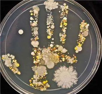 1732537289739481.jpg 微信图片_20241125202117.jpg