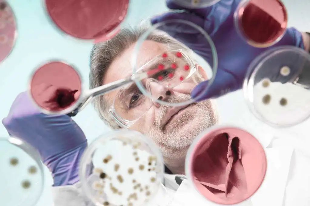 1732537401441099.jpg 微信图片_20241125202310.jpg